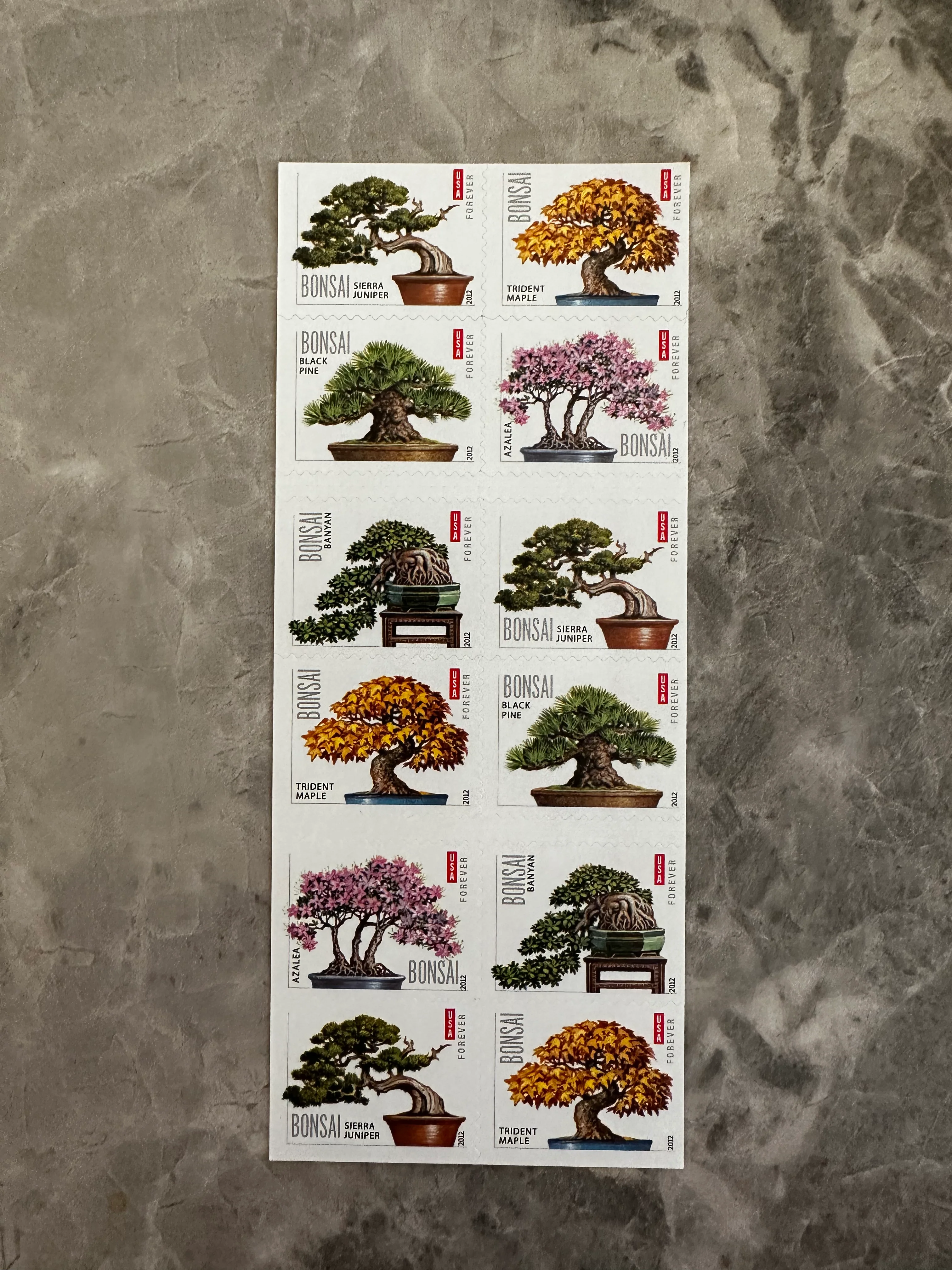 Bonsai Tree Forever First Class Postage Stamps - Image 3