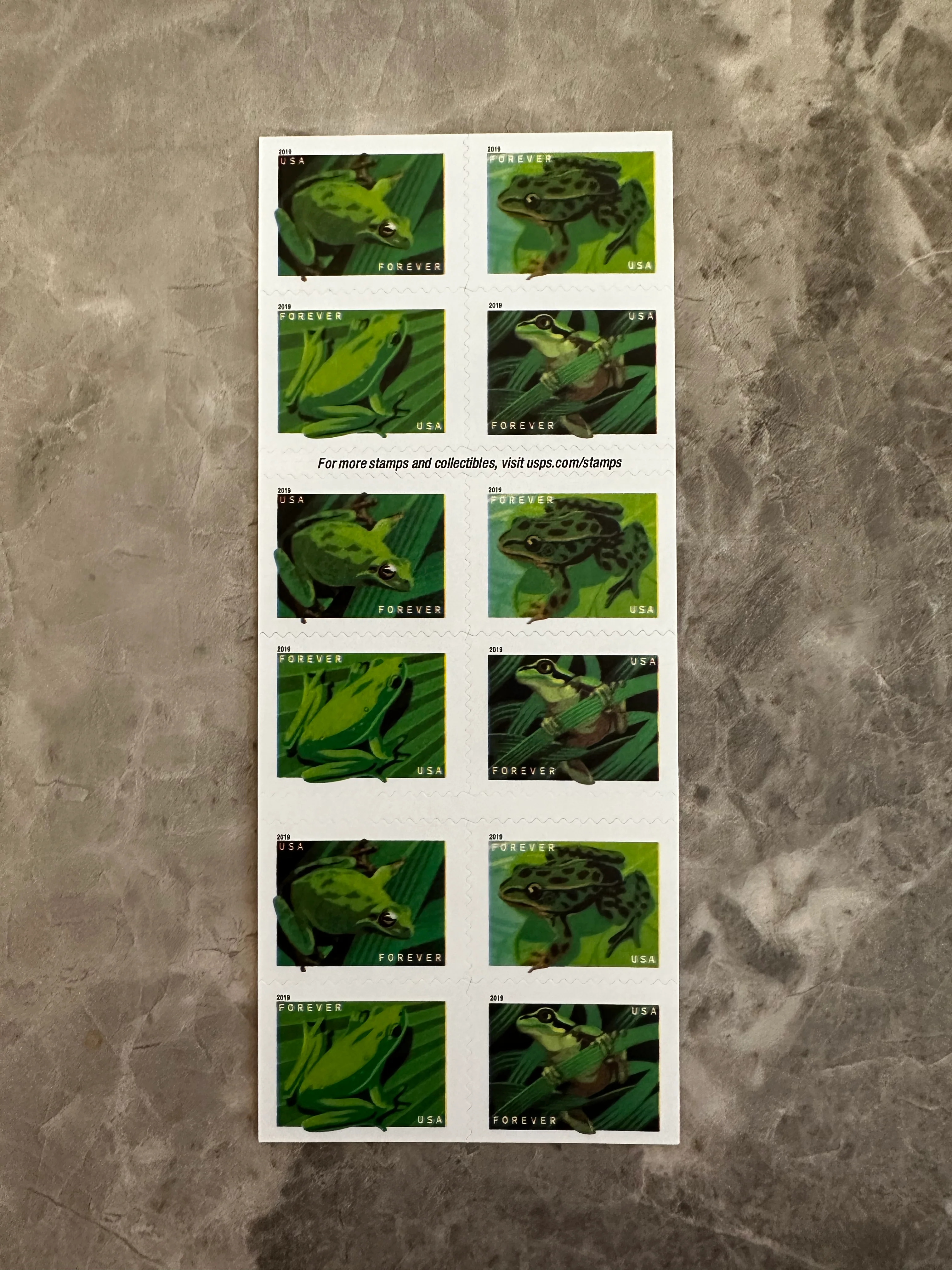 Frogs Forever First Class Postage Stamps - Image 3