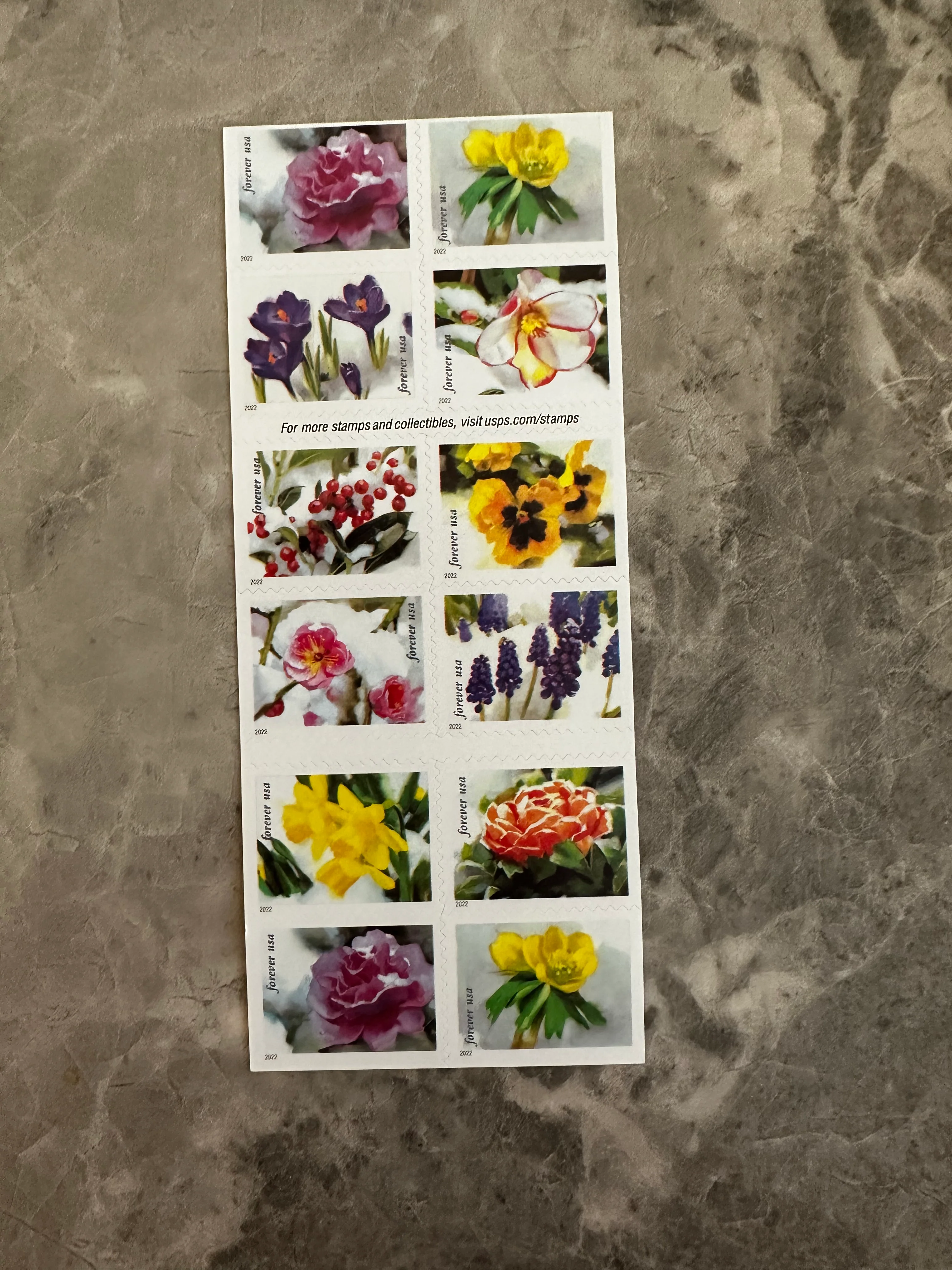 Snowy Beauty Bloom Forever First Class Postage Stamps - Image 3